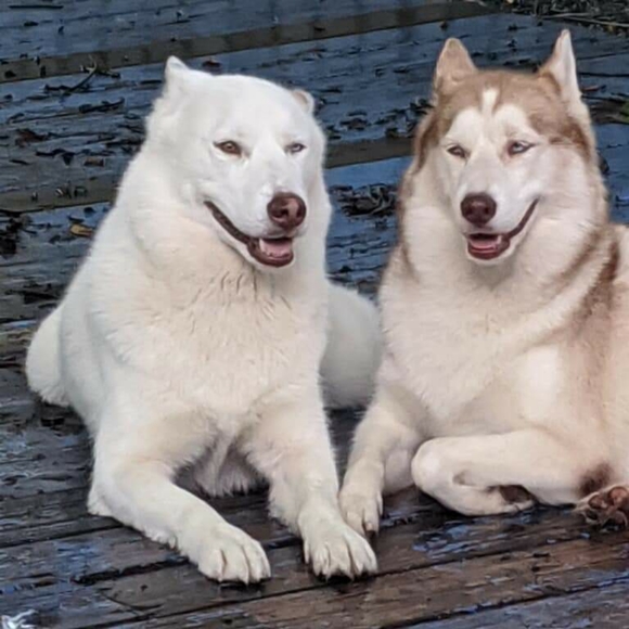 ❤ My Baby Girls ❤ - Picture 7 of 12